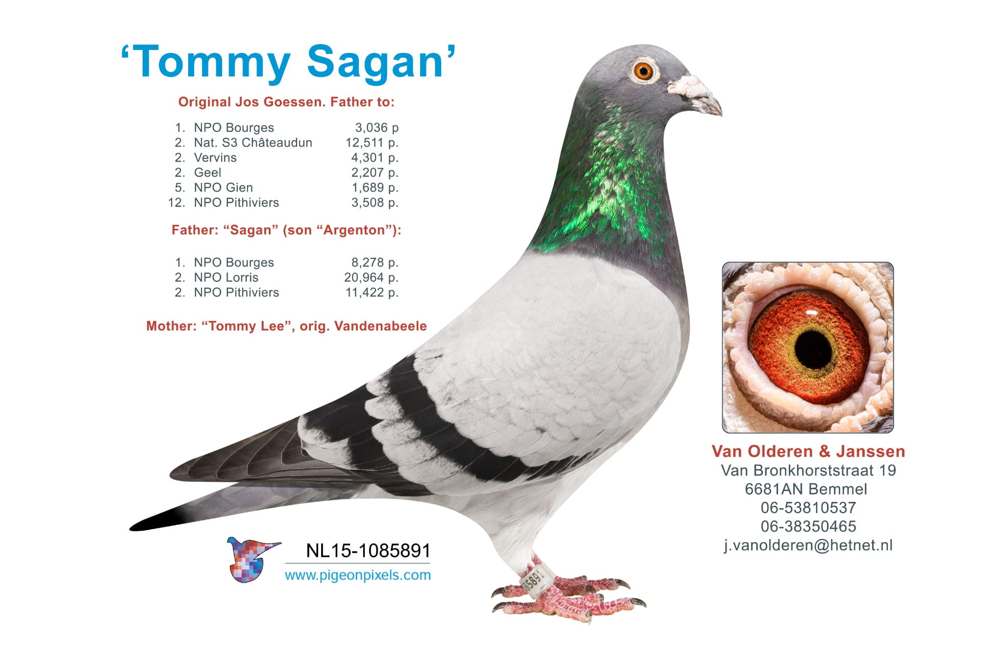 NL15-1085891 Tommy Sagan NL15-1085891 Tommy Sagan